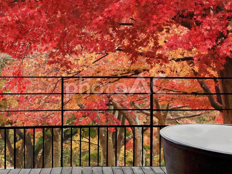 紅葉と温泉のイメージ 温泉,露天風呂,旅の写真素材
