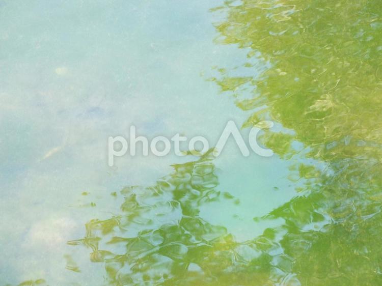 池に木の緑が映る風景 池,水,水面の写真素材
