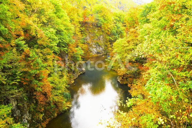 晩秋の定山渓 定山渓,温泉,豊平川の写真素材