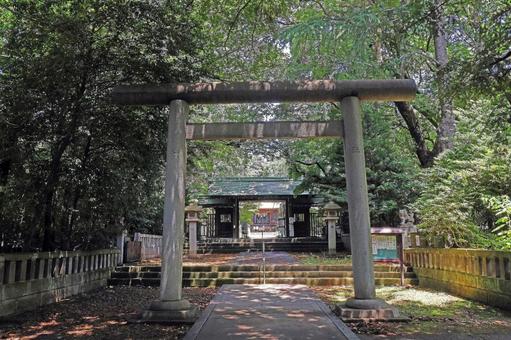 根村氷川神社(板橋) 根村氷川神社(板橋) 根村氷川神社,素戔嗚尊,倉稲魂命の写真素材