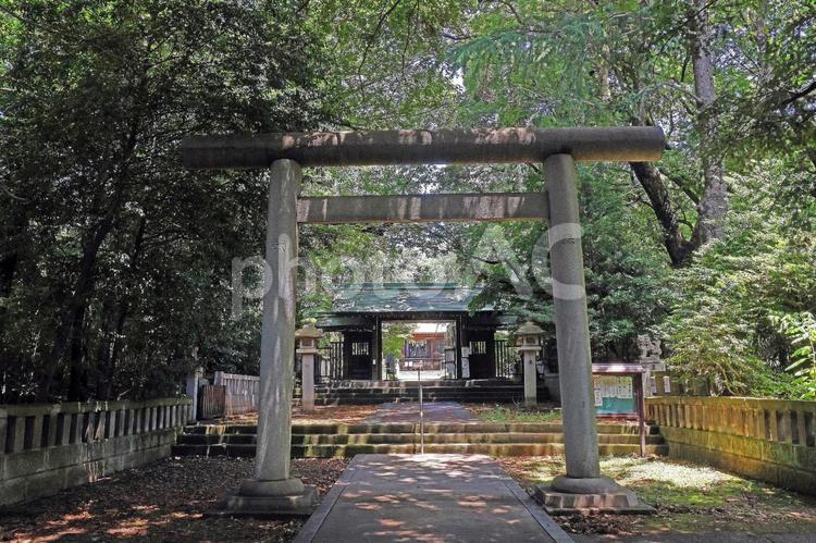 根村氷川神社（板橋） 根村氷川神社,素戔嗚尊,倉稲魂命の写真素材