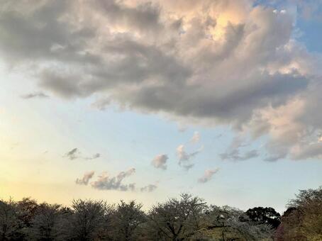 春の夕空 夕空,春,夕陽の写真素材