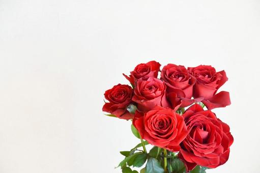 赤いバラ 赤いバラ ばら,赤い薔薇,薔薇の写真素材