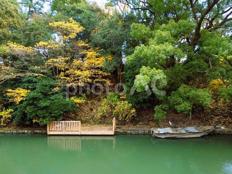 駿府城公園の紅葉と船着き場 紅葉,黄色い葉,鮮やかなの写真素材