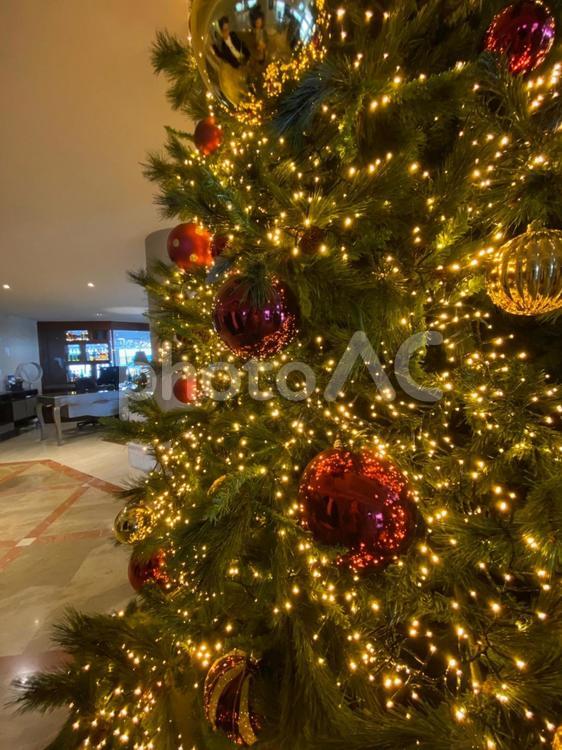 クリスマスの飾り付け クリスマスツリー,クリスマス,12月の写真素材