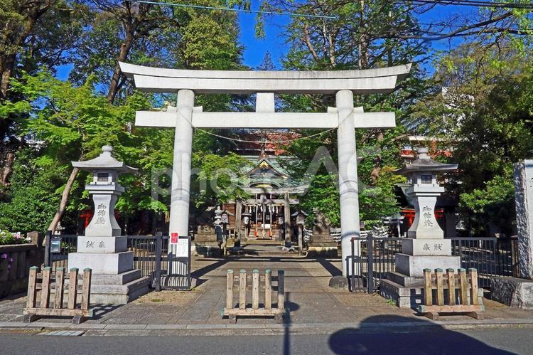 杵築大社（武蔵野） 杵築大社,大国主大神,事代主大神の写真素材