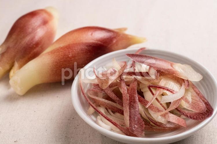 小皿に盛った刻んだみょうが みょうが,食べ物,野菜の写真素材