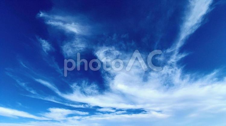 青空と白い雲 青空と白い雲 青空,空,晴れの写真素材