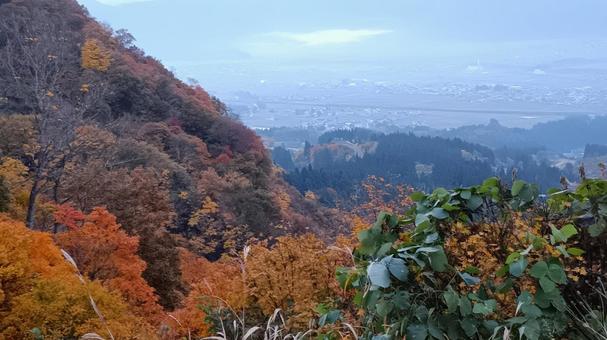 魚沼スカイラインの紅葉 魚沼スカイライン,紅葉,護国観音苑の写真素材