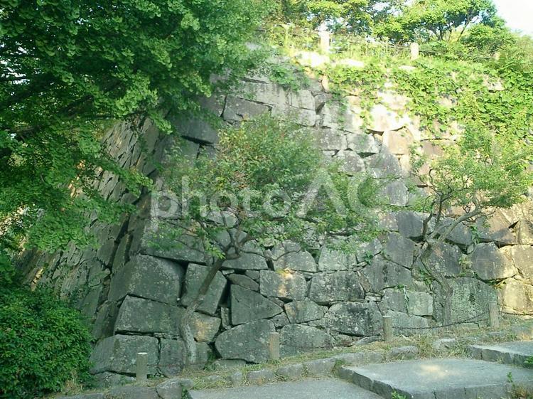 福岡城の石垣 福岡城,福岡,福岡県の写真素材