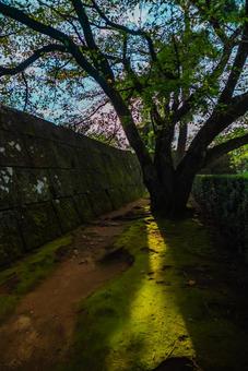 【福井】福井城跡にある福井県庁 【福井】福井城跡にある福井県庁の写真