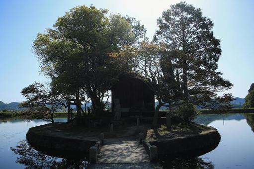 Photo, shuhin shrine, a shrine, trees, 