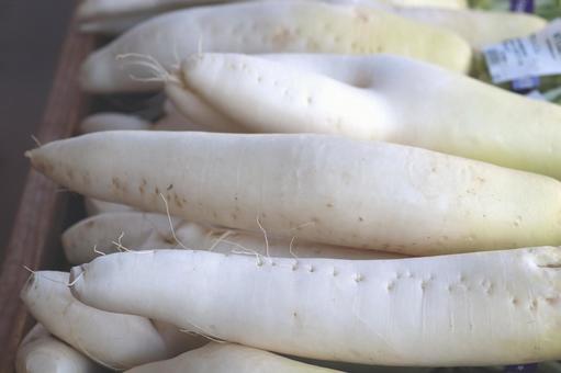 産直の店頭に並ぶ採りたて大根 大根,畑,ダイコンの写真素材