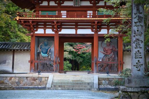 晩秋の室生寺　仁王門 紅葉,晩秋,風景の写真素材