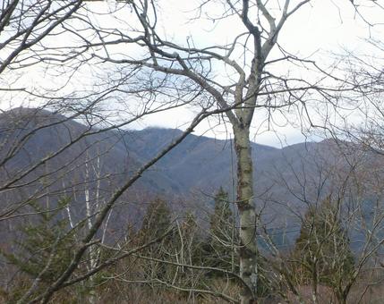 遠足, 山, 树木, 枝, JPG