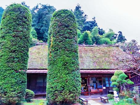 竹寺 竹寺 竹寺,お寺,植木の写真素材