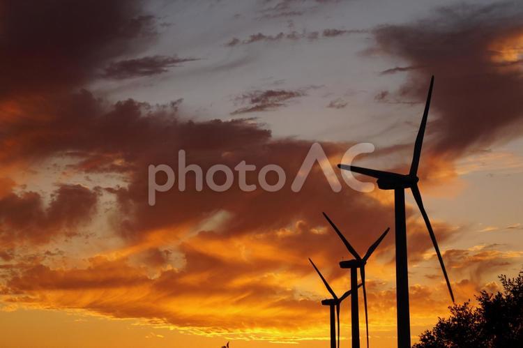 夕方の風景 夕方,風景,黄昏の写真素材