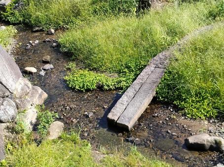 阿蘇から流れ出る小川 阿蘇から流れ出る小川 小川,せせらぎ,川上の写真素材