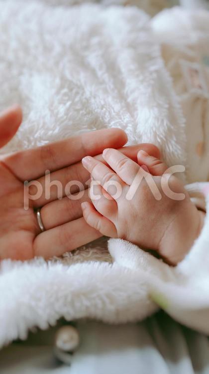 ママの手と赤ちゃんの手 赤ちゃんの手,赤ちゃん,乳児の写真素材