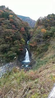 静岡・梅ヶ島コンヤ・赤水の滝 静岡・梅ヶ島コンヤ・赤水の滝の写真