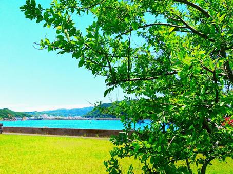 初夏の陽気 初夏の陽気の写真