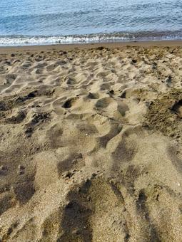 砂浜でのんびり 砂浜でのんびりの写真