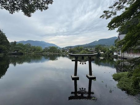 金鱗湖 金鱗湖の写真
