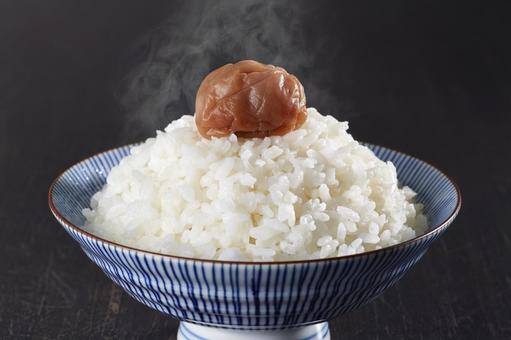 白ごはんと梅干し 白ごはんと梅干し 白ごはん,梅干し,白米の写真素材