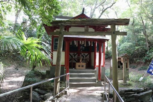 紀州東照宮　弁財天社 紀州東照宮,弁財天社,東照宮の写真素材