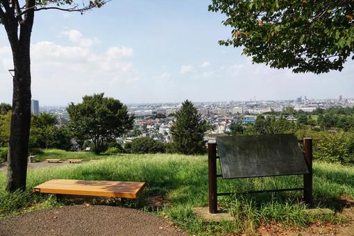 近くの公園散歩5 近くの公園散歩5の写真