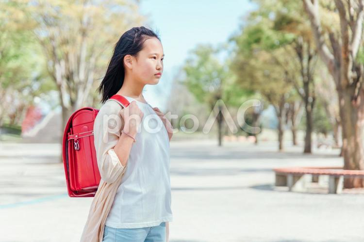 ランドセルを背負った小学生の女の子（真剣） 小学生,女子,女の子の写真素材