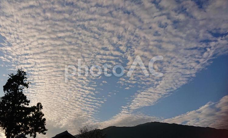 夕暮れのウロコ雲 ウロコ雲,夕暮れ雪,空の写真素材