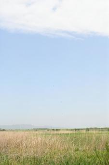 空と草原 空と草原の写真