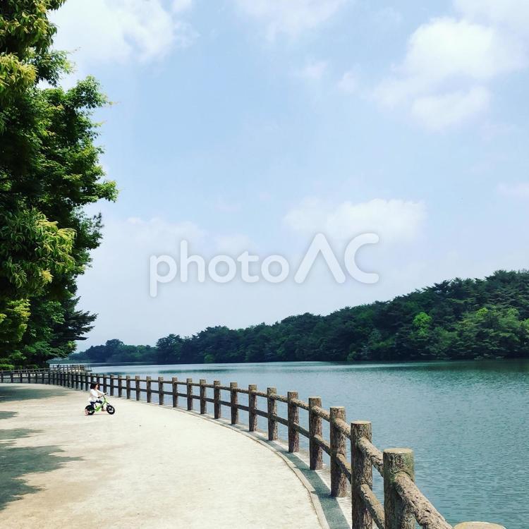 湖畔の散歩 水域,何人もありません,木の写真素材