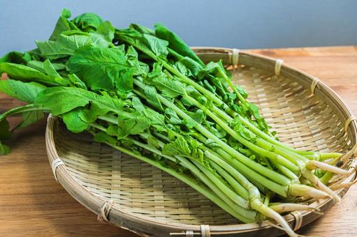 竹ざるに乗った葉大根 大根菜,野菜,葉大根の写真素材