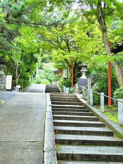京都大原 京都,大原,階段の写真素材