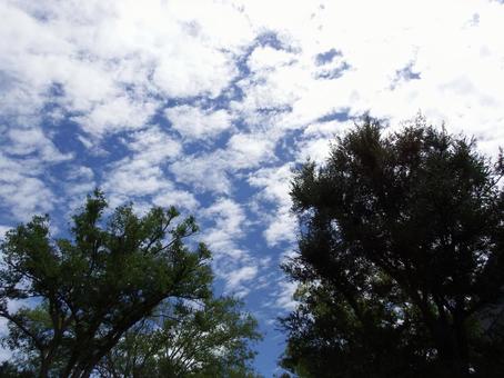 青空と白い雲 青空と白い雲の写真