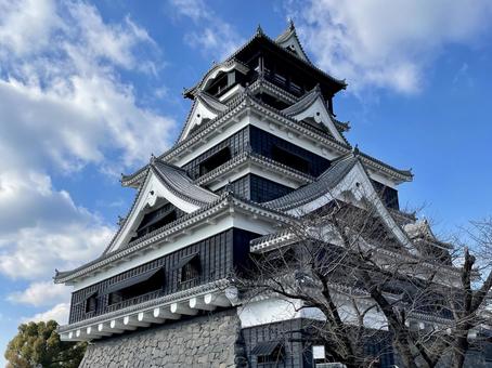 熊本城 熊本城 城,熊本城,天守閣の写真素材