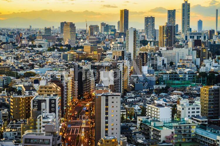 文京シビックセンターからの夕景（池袋方面）３ オフィスビル,オフィス街,オレンジ色の写真素材