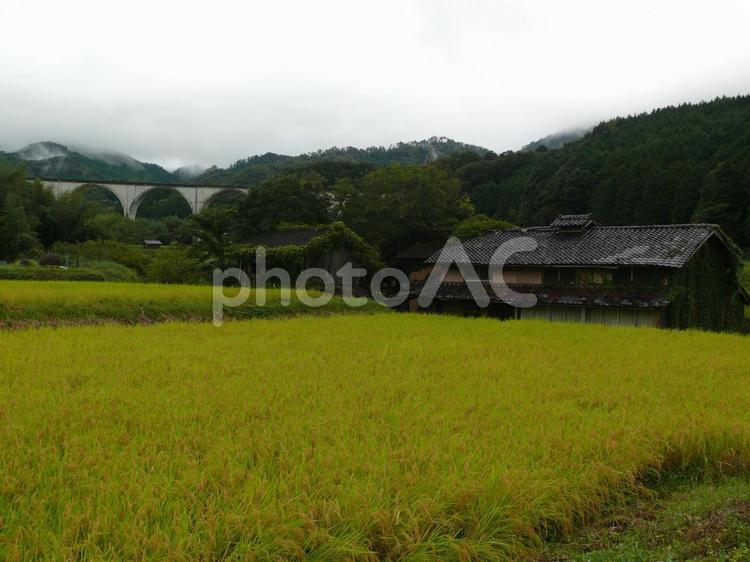 田舎の風景 稲,山,エコの写真素材