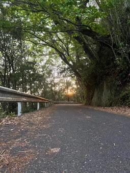 道 道 道,道路,夕暮れの写真素材