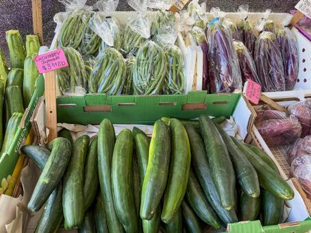 ハワイ　ファーマーズマーケット野菜 kccファーマーズマーケット,ハワイ,アメリカの写真素材