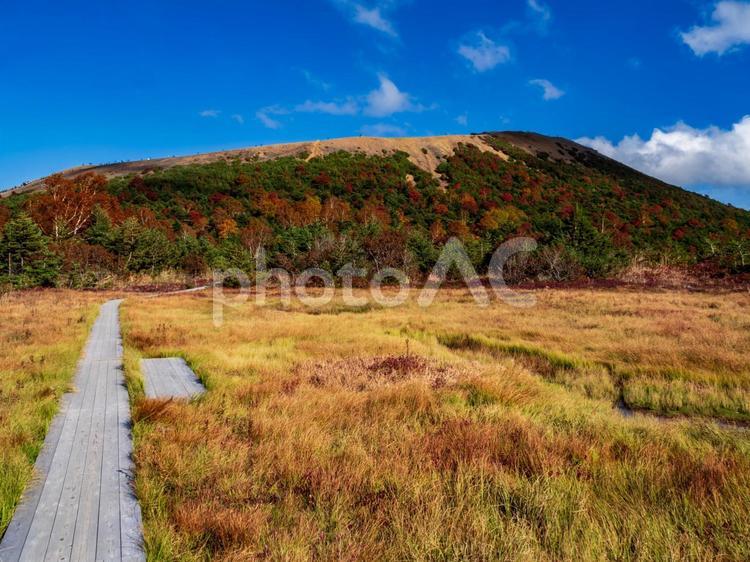 秋の一切経山 秋,紅葉,山の写真素材