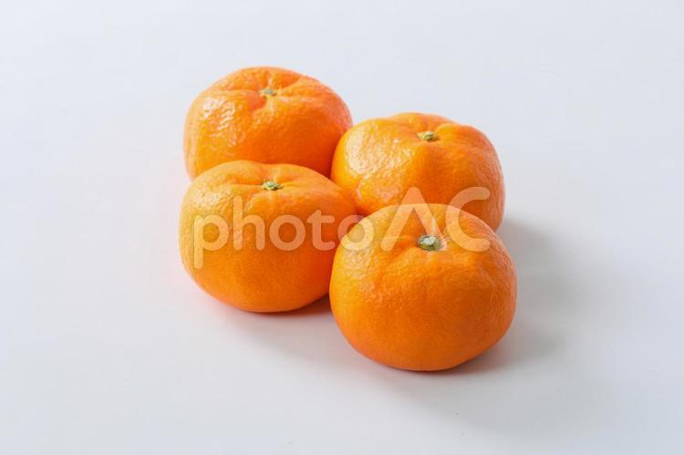 【切抜パス付】みかん みかん,温州みかん,ミカンの写真素材