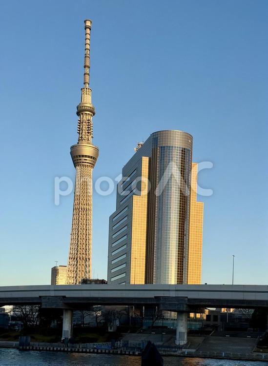 夕方の隅田公園　隅田川越しの景色 夕焼け,川,快晴の写真素材