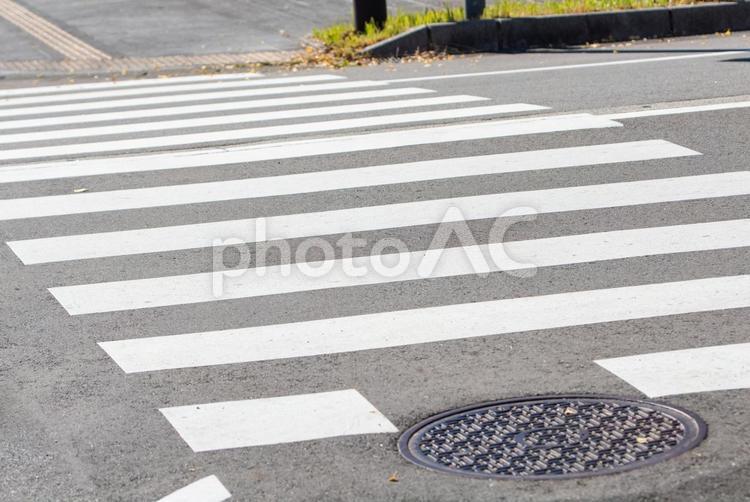 横断歩道のイメージ 横断歩道,道路,道の写真素材