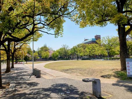 山下公園 山下公園 海,景色,ヨコハマの写真素材