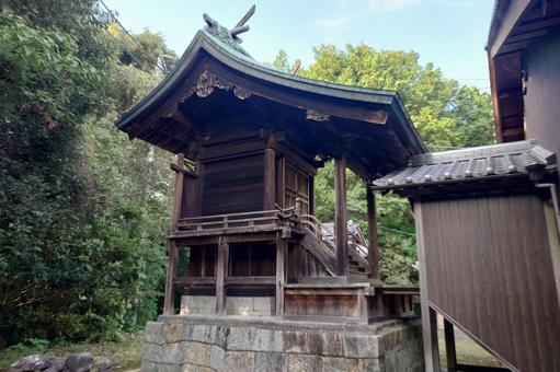 香川県-神野神社-本殿 香川県-神野神社-本殿 神野神社,神社,本殿の写真素材