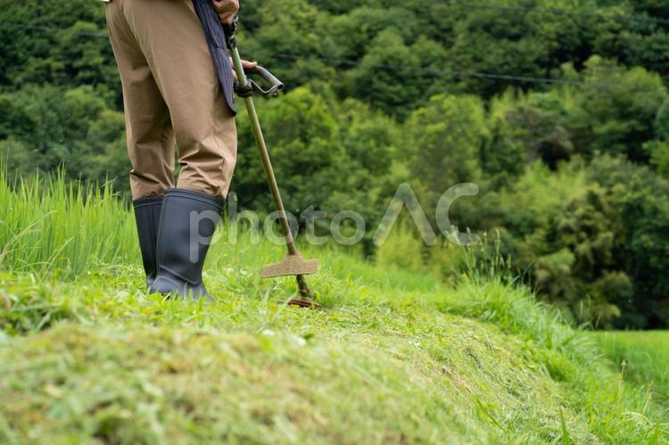 草刈りする男性 草刈り,雑草,草の写真素材