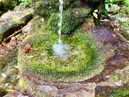 Spring water and moss, JPG Spring water and moss, JPG